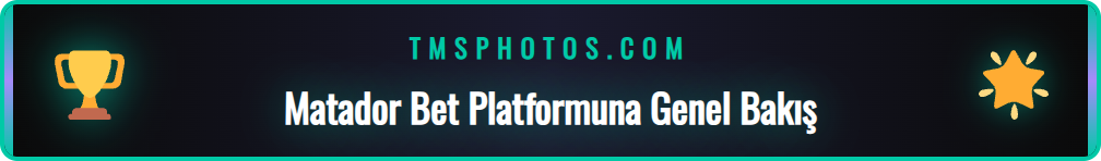 Matador Bet Yeni platformunun ne olduğu ve sunduğu hizmetler
