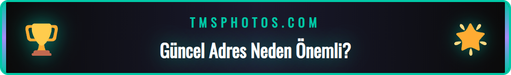 Matadorbet güncel adresine erişimin önemini gösteren bir infografik