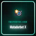 Matadorbet X platformunun arayüzü ve sosyal medya entegrasyonu