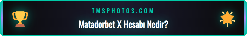 Matadorbet X hesabının ne işe yaradığını gösteren bilgilendirici grafik